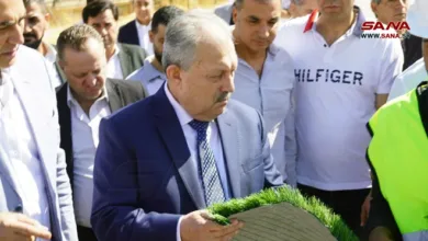 عرنوس ملعب الفيحاء