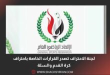 لجنة الاحتراف في الاتحاد الرياضي العام تصدر القرارات الخاصة باحتراف كرة القدم والسلة