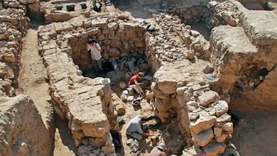 أقدم أبجدية في التاريخ حلب