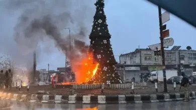 حرق شجرة الميلاد السقيلبية