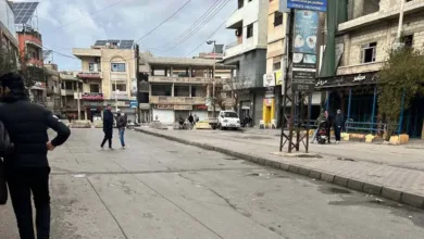 حي كرم اللوز في حمص
