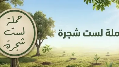 لست شجرة