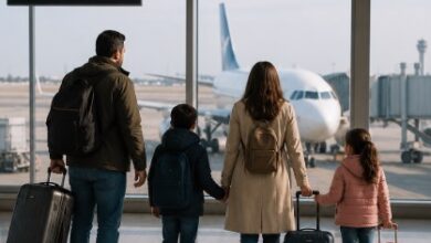 سفر، طيارة، مطار، طيران
