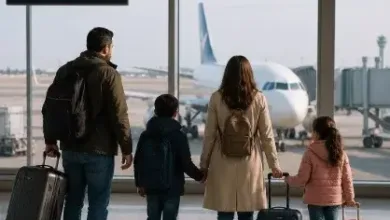 سفر، طيارة، مطار، طيران